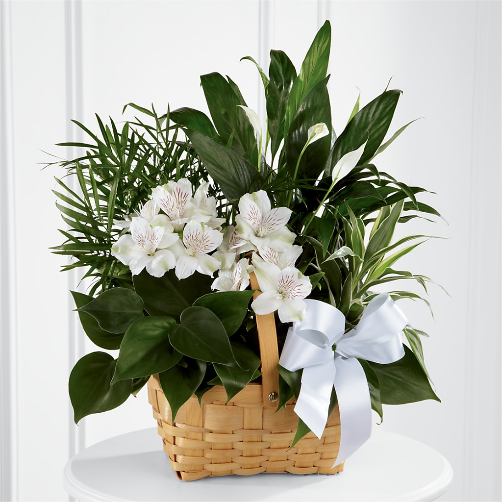 Peace & Serenity Dishgarden – Whittier Blossom Shop, Whittier CA
