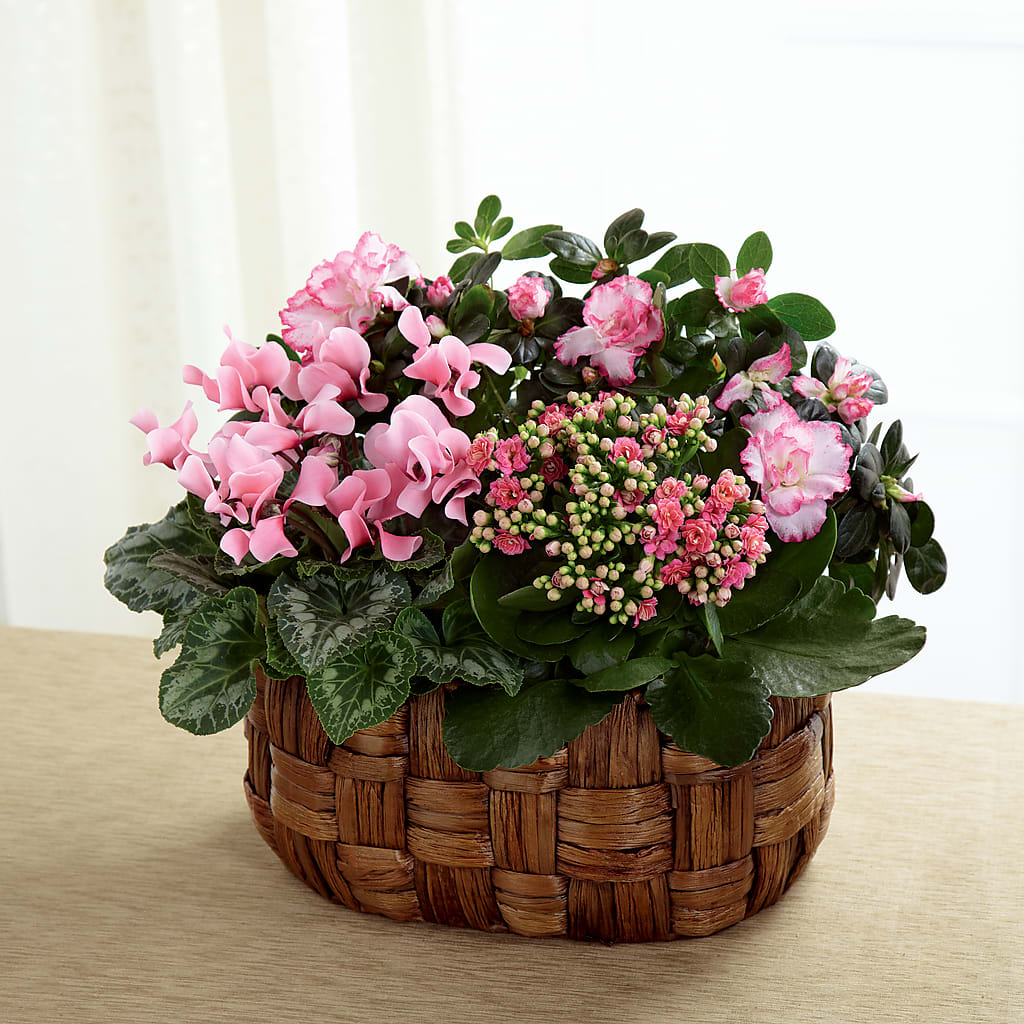 Pink Assortment – Whittier Blossom Shop, Whittier CA