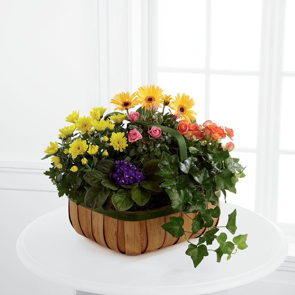 Gentle Blossoms Basket – Whittier Blossom Shop, Whittier CA