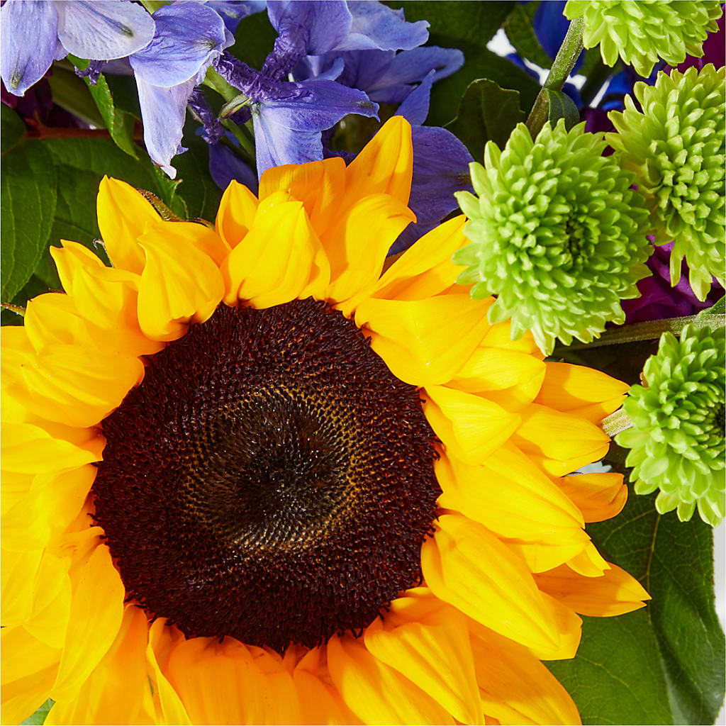 Catching Rays Bouquet – Whittier Blossom Shop, Whittier CA