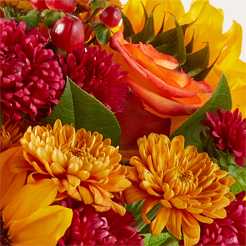 Sweater Season - A Florist Original – Whittier Blossom Shop, Whittier CA