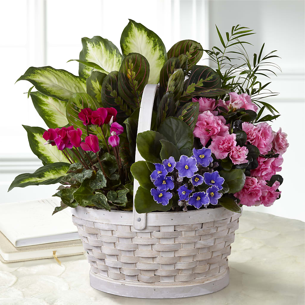 Peaceful Garden Planter – Whittier Blossom Shop, Whittier CA