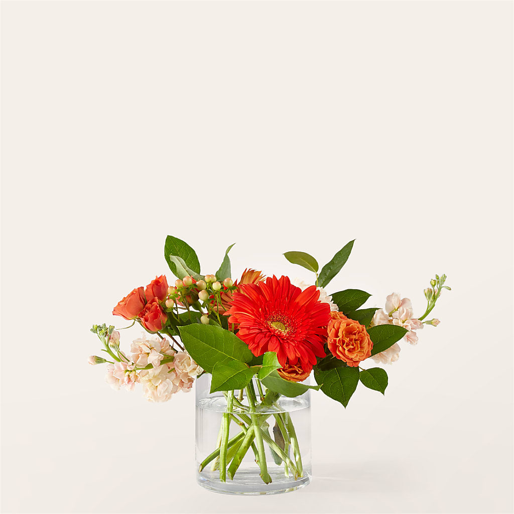 Paloma Please Bouquet – Whittier Blossom Shop, Whittier CA