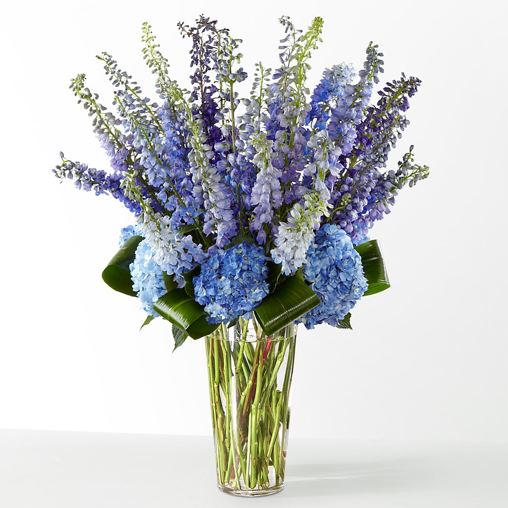 The Editorial – Whittier Blossom Shop, Whittier CA