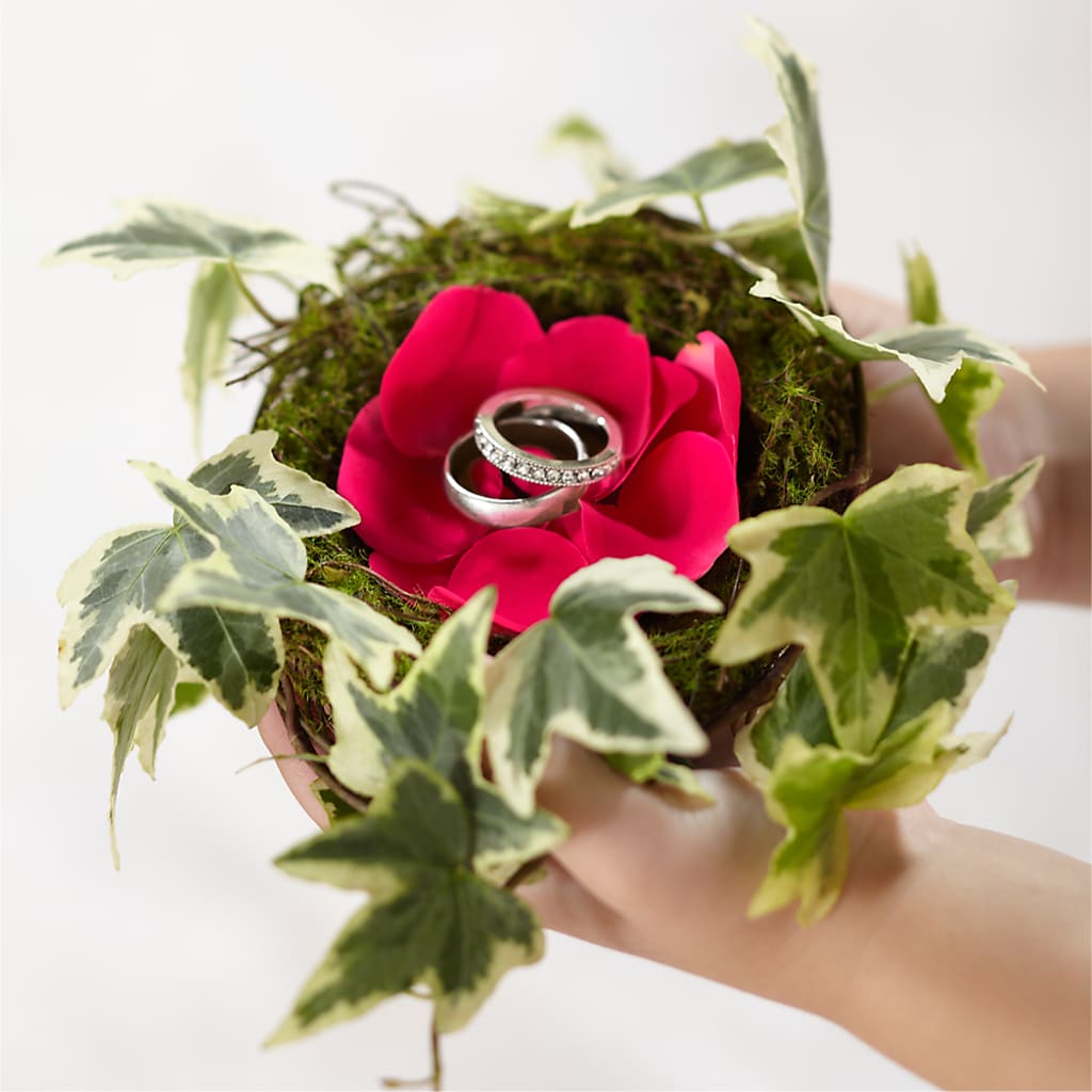 Lila Rose Ring Nest – Whittier Blossom Shop, Whittier CA