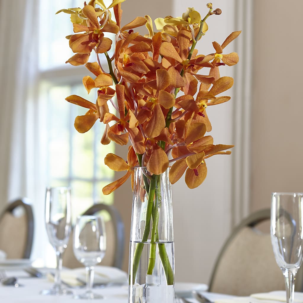 Orange Mokara Bud Vase – Whittier Blossom Shop, Whittier CA