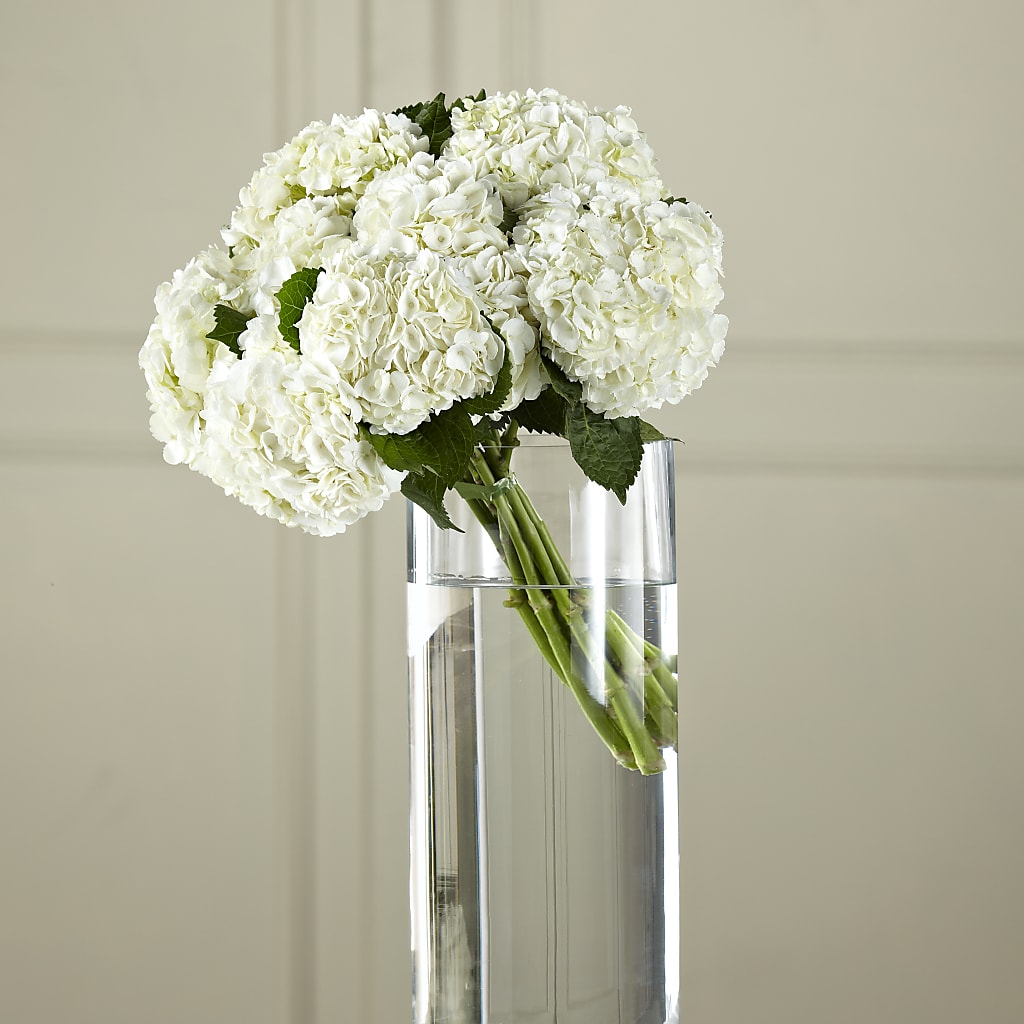 White Hydrangea Hand-Tied Bouquet – Whittier Blossom Shop, Whittier CA