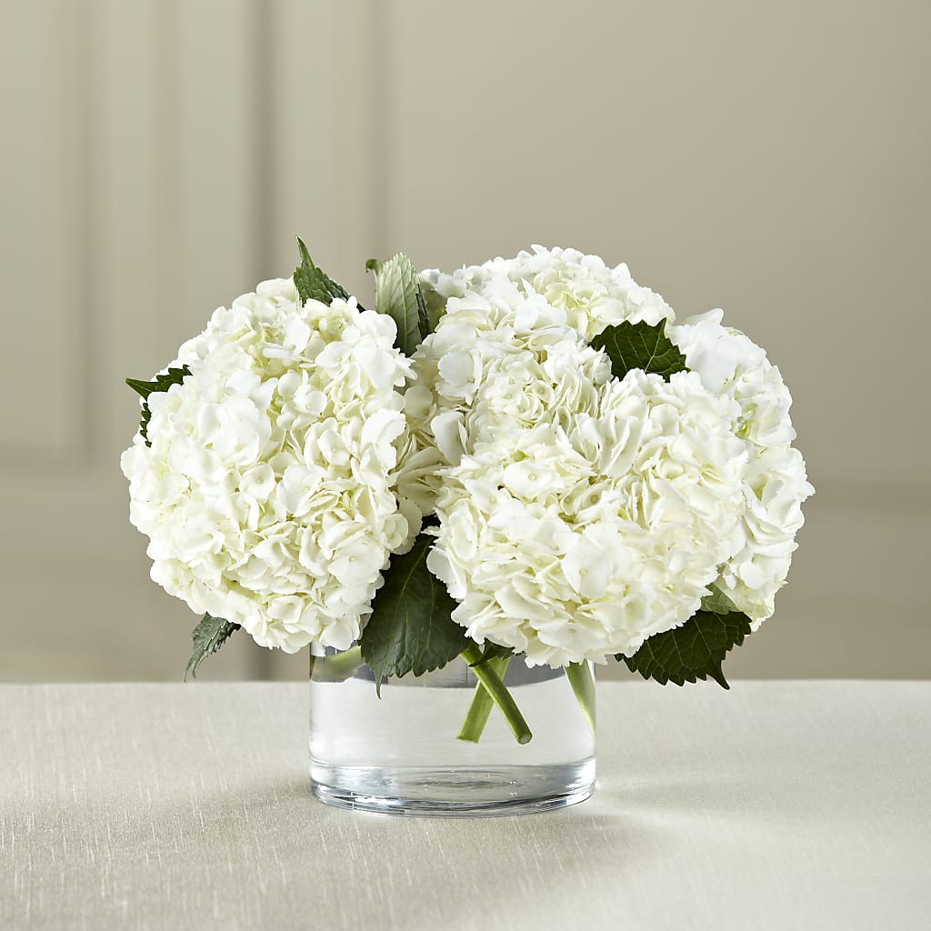 White Hydrangea Bouquet – Whittier Blossom Shop, Whittier CA
