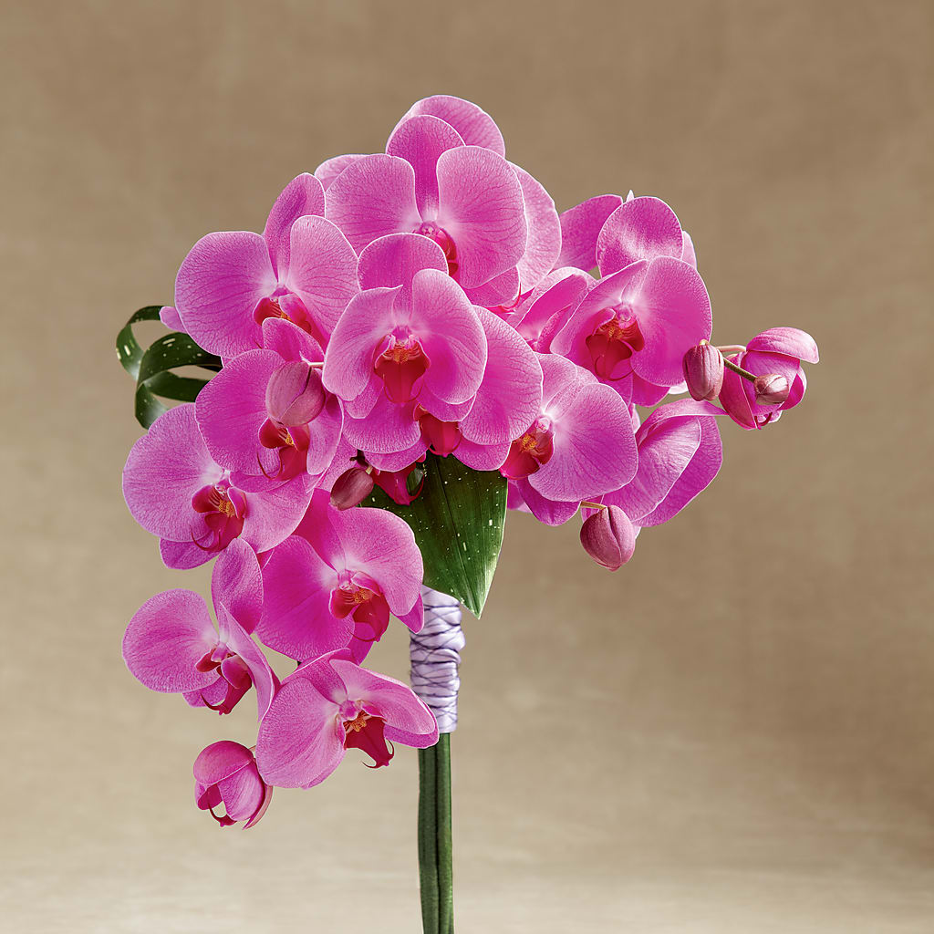Glorious Bouquet – Whittier Blossom Shop, Whittier CA