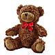 Adorable Plush Bear –  Whittier Blossom Shop, Whittier CA