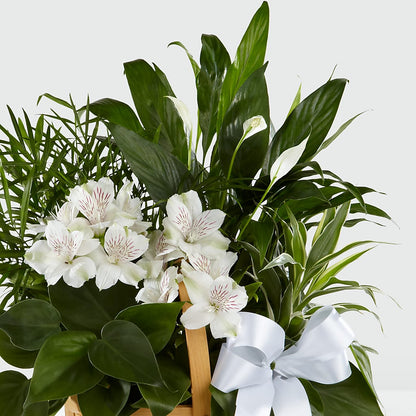 Peace & Serenity Dishgarden –  Whittier Blossom Shop, Whittier CA