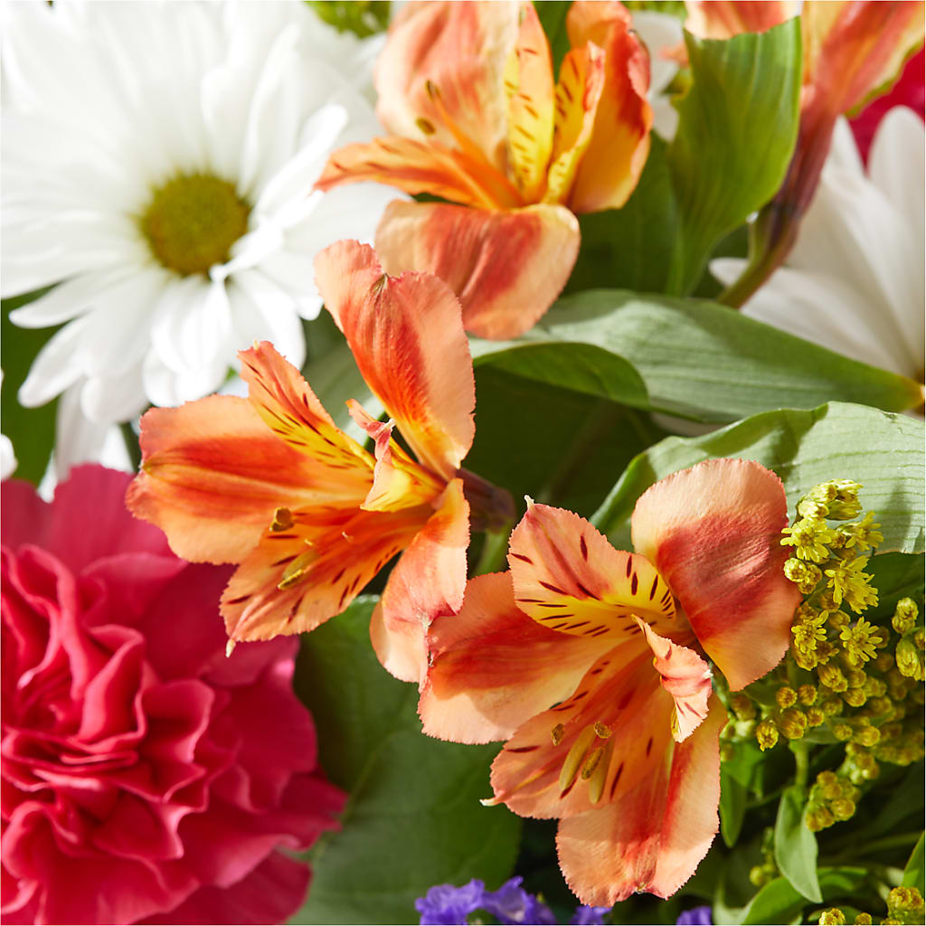 Oopsie Daisy Box Bouquet –  Whittier Blossom Shop, Whittier CA