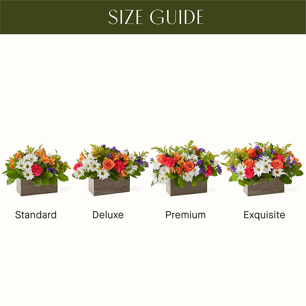 Oopsie Daisy Box Bouquet –  Whittier Blossom Shop, Whittier CA