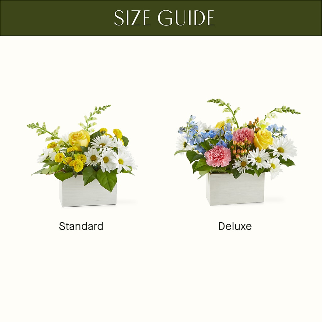 Sun Salutation Box Bouquet –  Whittier Blossom Shop, Whittier CA