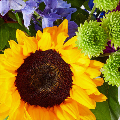 Catching Rays Bouquet –  Whittier Blossom Shop, Whittier CA