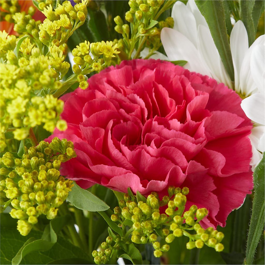 Oopsie Daisy Bouquet –  Whittier Blossom Shop, Whittier CA