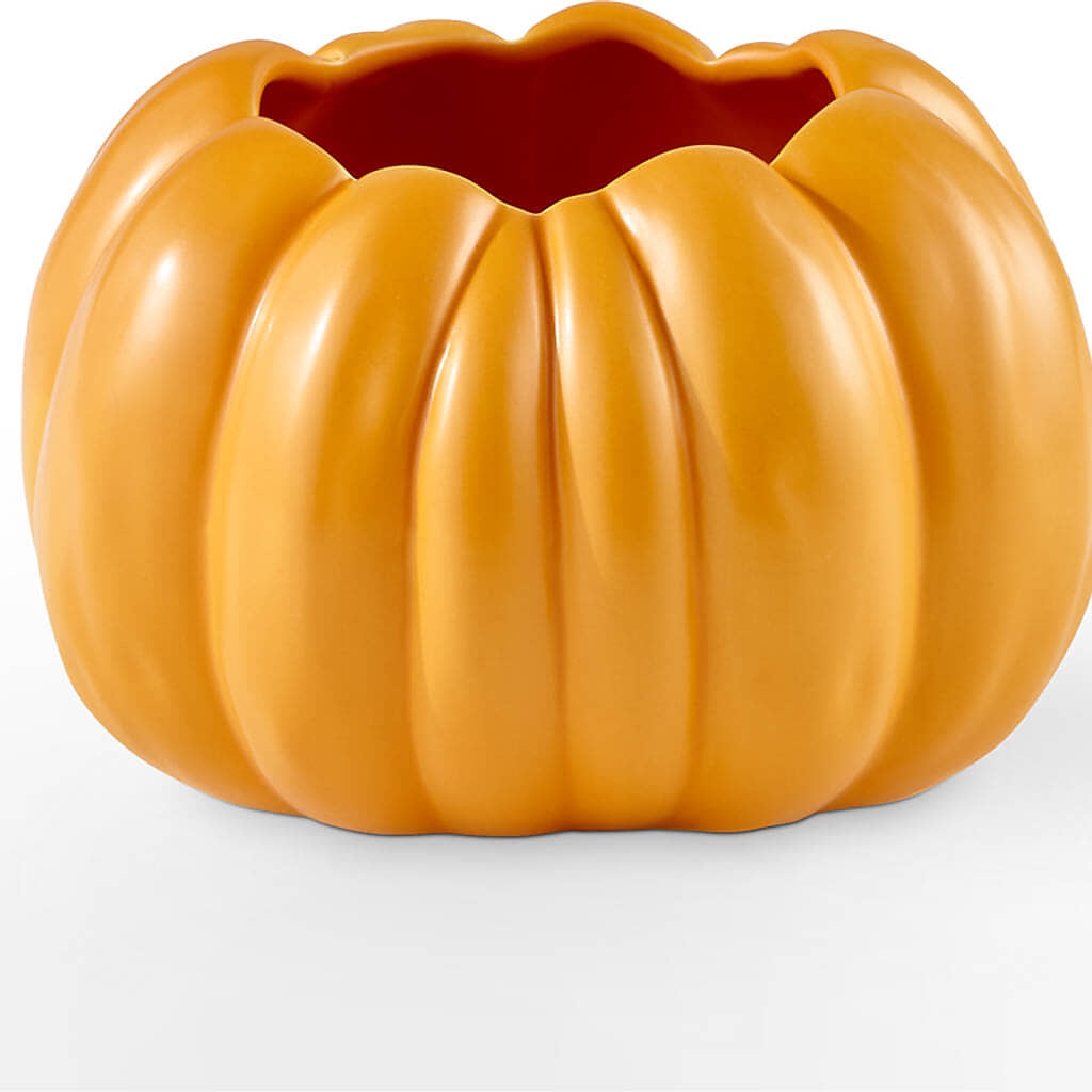Golden Gourd Pumpkin Bouquet –  Whittier Blossom Shop, Whittier CA