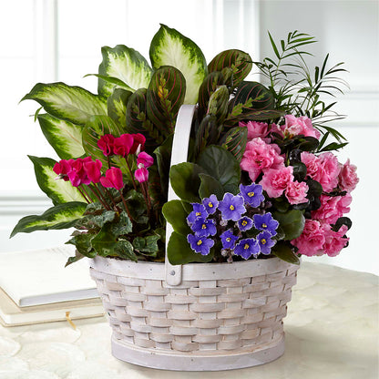 Peaceful Garden Planter –  Whittier Blossom Shop, Whittier CA
