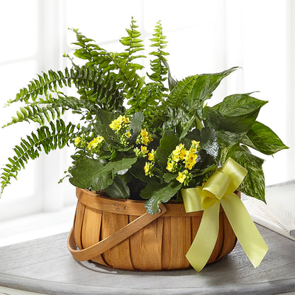 Always Dear Dishgarden –  Whittier Blossom Shop, Whittier CA