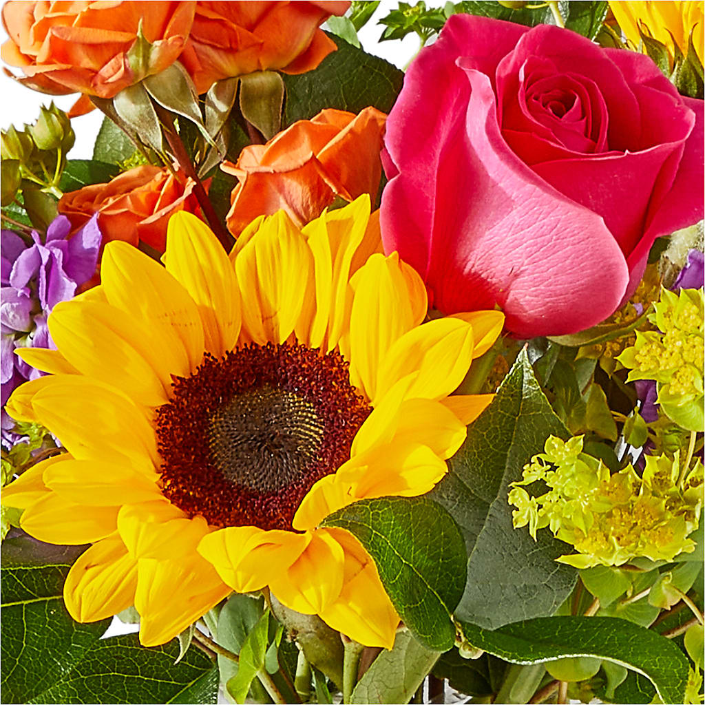 Vibrant Greetings Bouquet –  Whittier Blossom Shop, Whittier CA