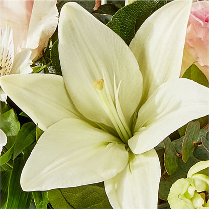 Ballet Slippers Bouquet –  Whittier Blossom Shop, Whittier CA